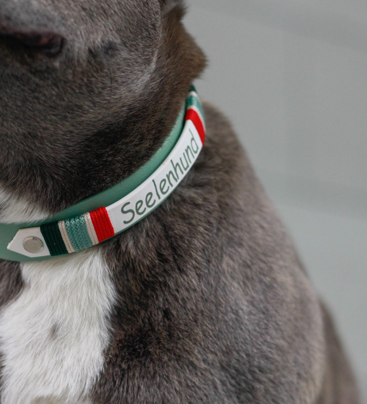 Biothane Halsband, personalisiert