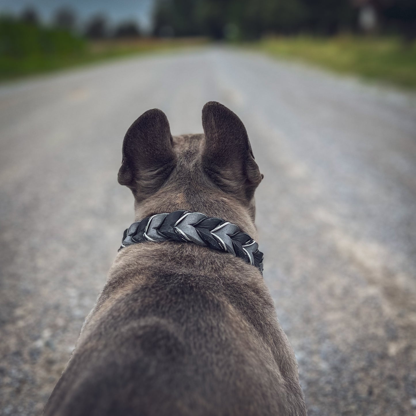 Halsband, geflochten