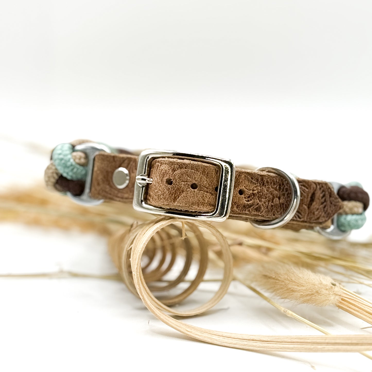 Tauhalsband ,,Ocean Brown''