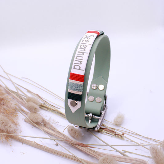 Biothane Halsband, personalisiert