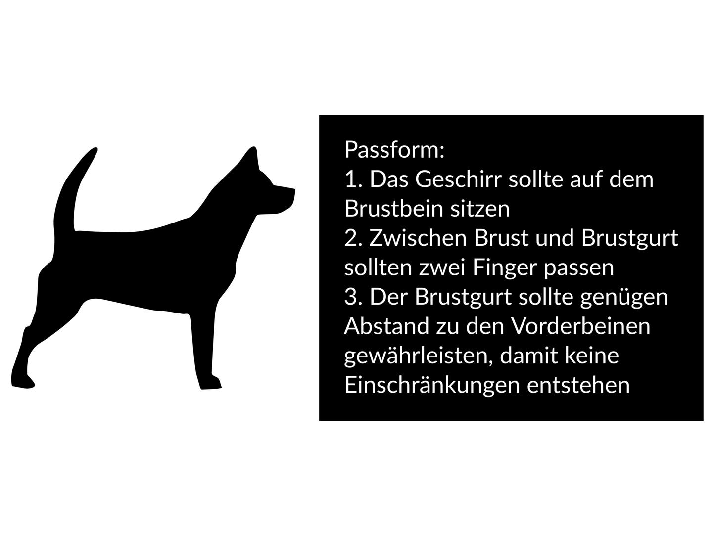 Brustgeschirr ,,Heart''