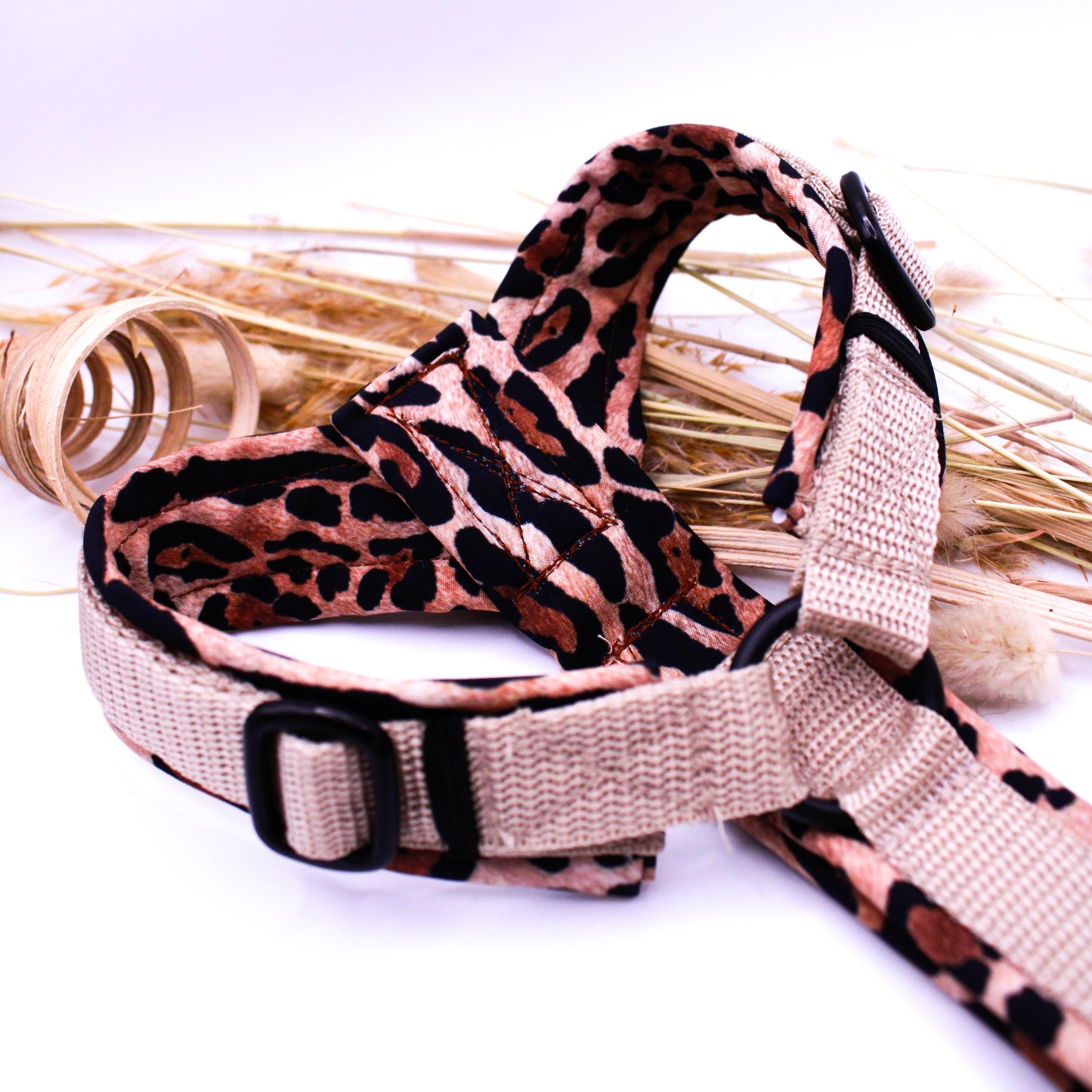 Brustgeschirr „Leo“