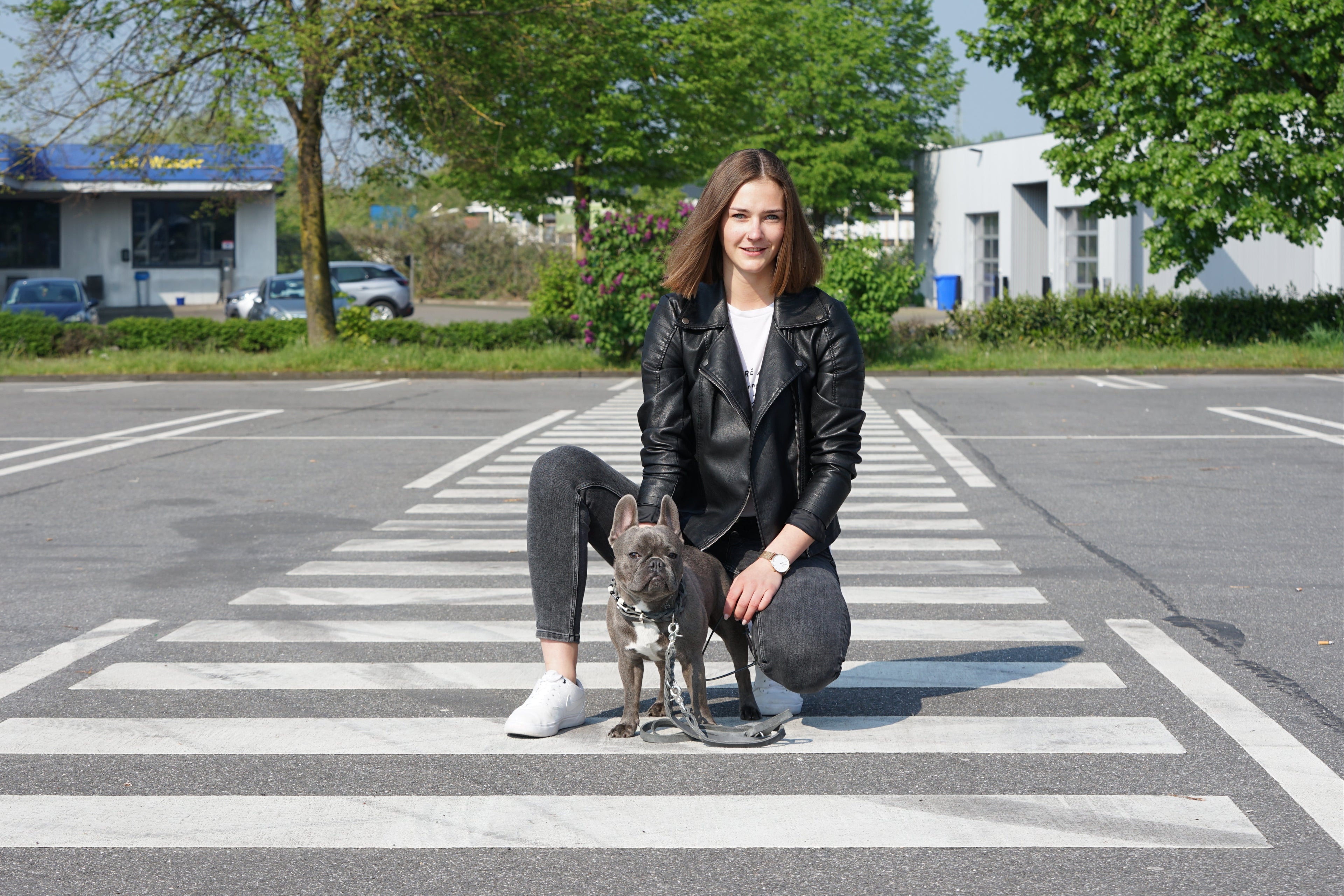 Hundeshop Inhaberin, Sytar, Französische Bulldogge