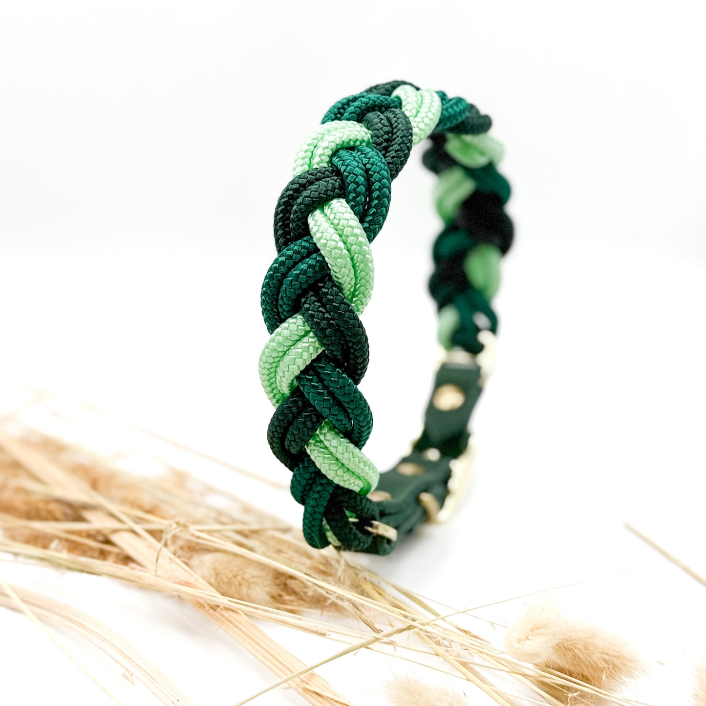 Tauhalsband ,,Forest Gold''