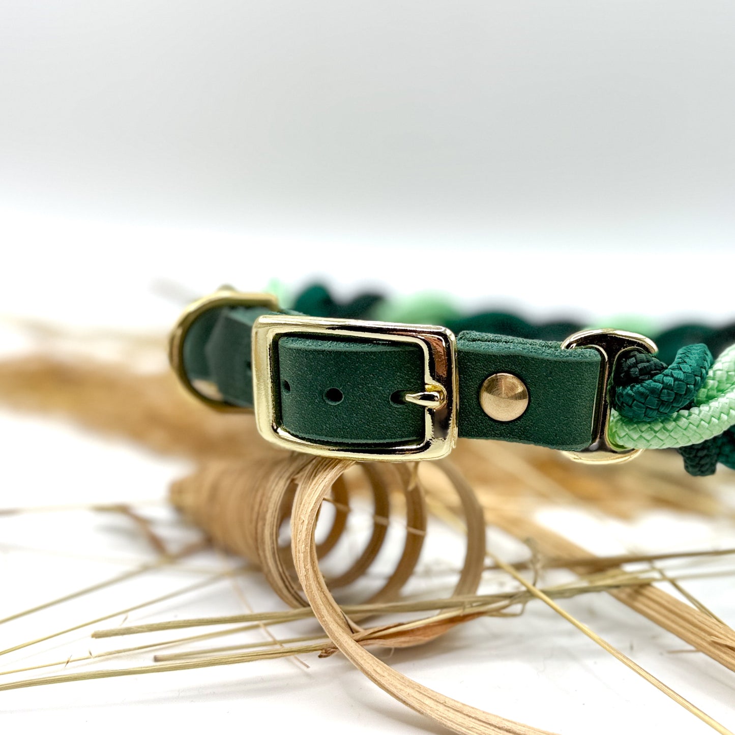 Tauhalsband ,,Forest Gold''